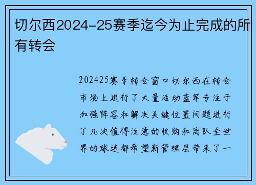 切尔西2024-25赛季迄今为止完成的所有转会