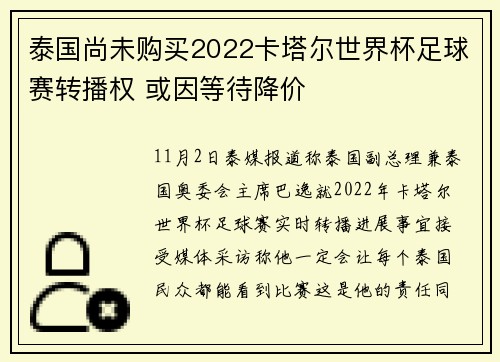 泰国尚未购买2022卡塔尔世界杯足球赛转播权 或因等待降价
