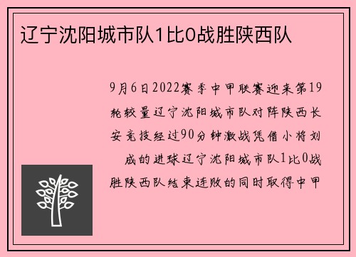 辽宁沈阳城市队1比0战胜陕西队